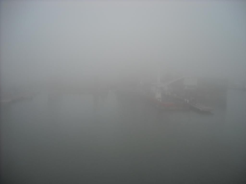 Fogterminal.jpg