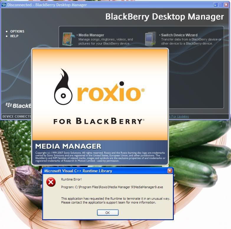 Bị lỗi Runtime khi dùng chương trình Media Manager của BB Desktop