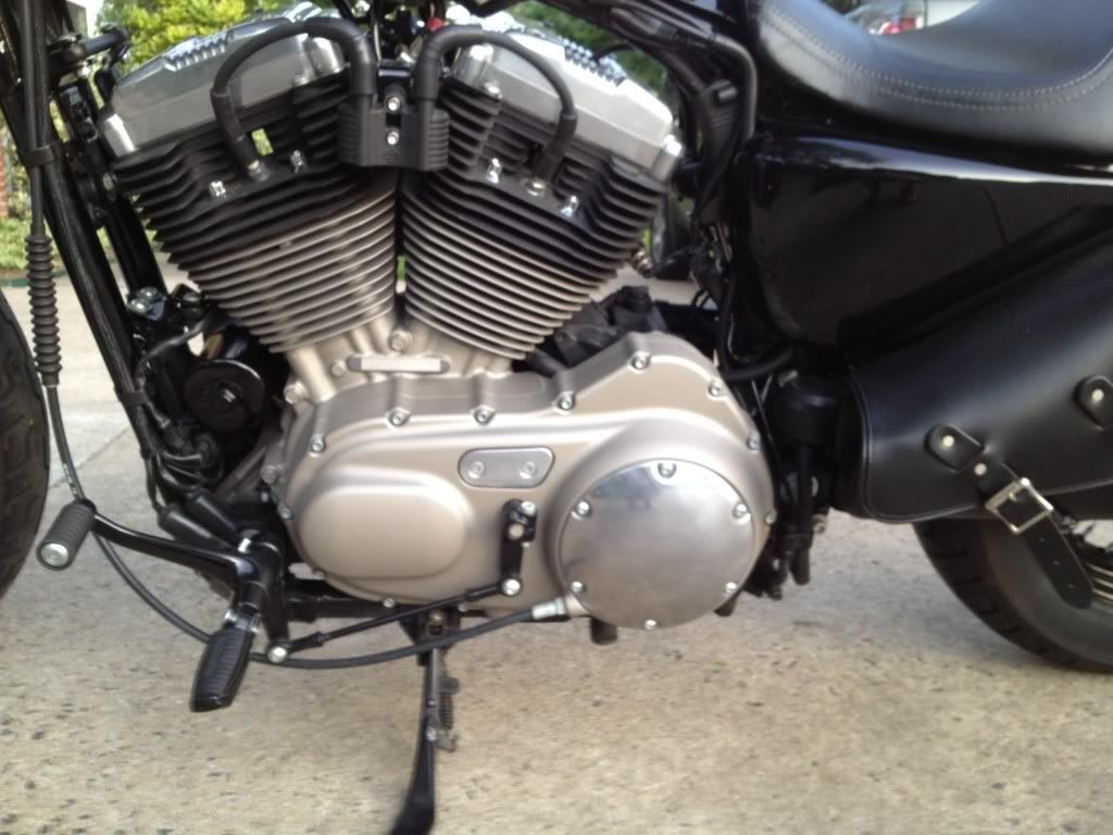 chrome primary cover sportster