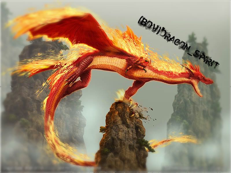 wallpaper dragon. Bro Dragon sig Wallpaper