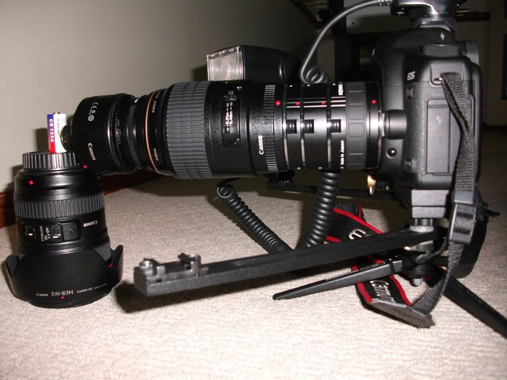 IMAGE: http://i281.photobucket.com/albums/kk236/vipercyclone/DSCF1357.jpg