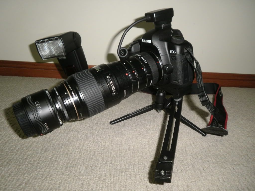 IMAGE: http://i281.photobucket.com/albums/kk236/vipercyclone/P1300005.jpg