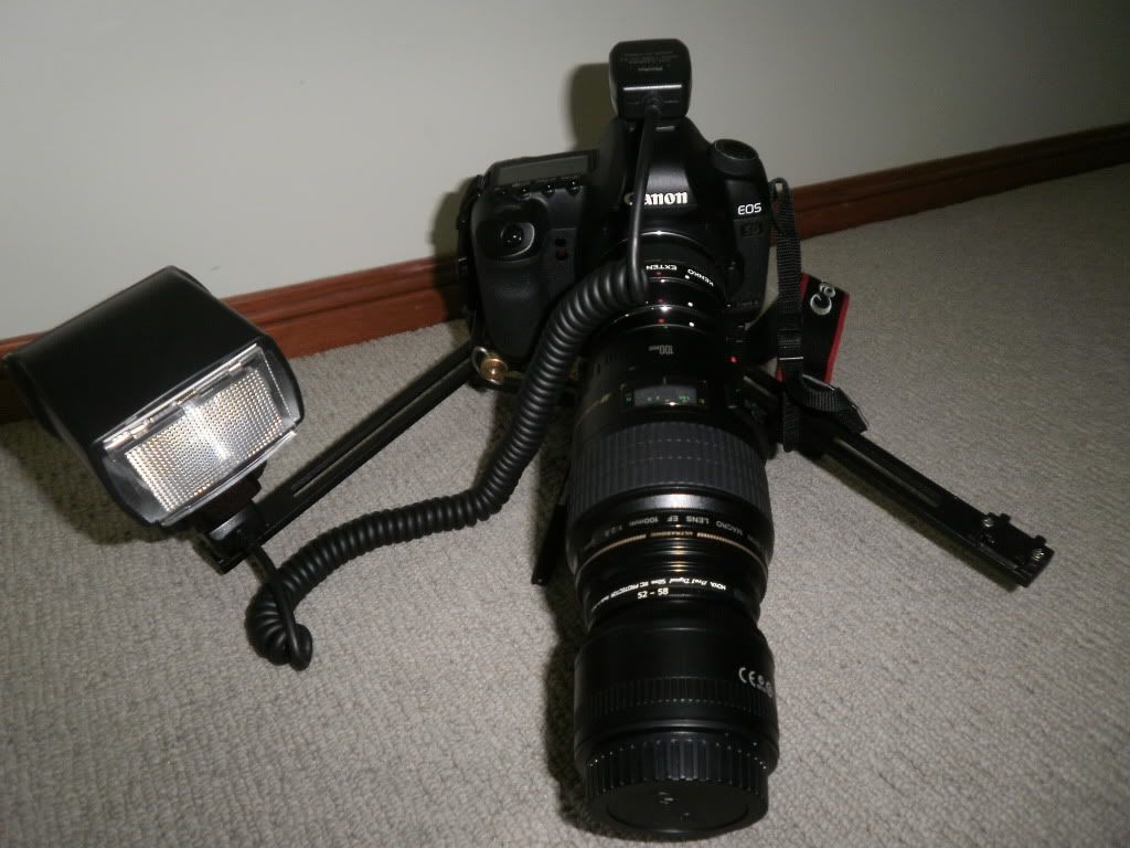 IMAGE: http://i281.photobucket.com/albums/kk236/vipercyclone/P1300017.jpg