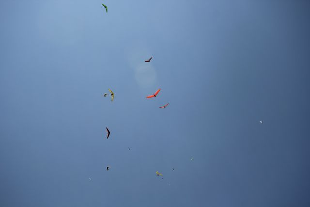 tn_IMG_4811.jpg