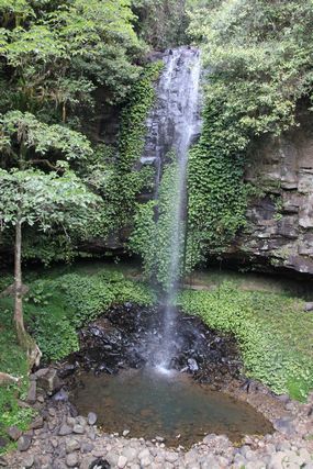 tn_IMG_5005.jpg
