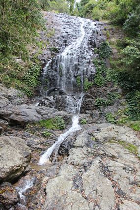 tn_IMG_5028.jpg