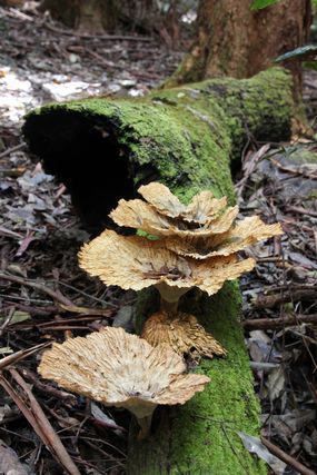 tn_IMG_5142.jpg