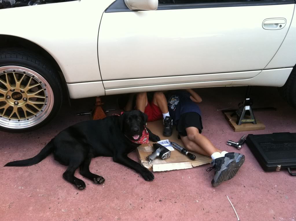  photo null_zps48e99d3c.jpg