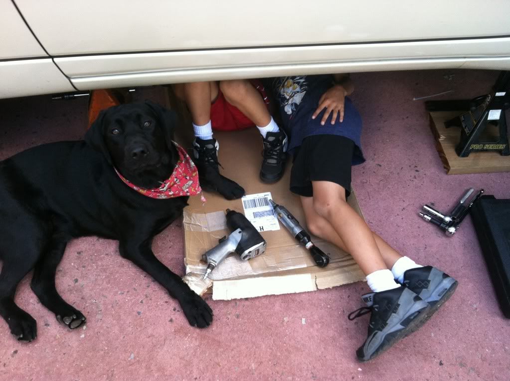  photo null_zpsd4191a55.jpg