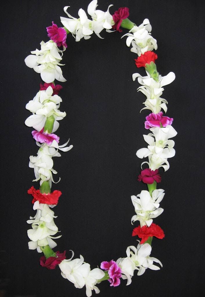 carnation and white orchid lei Pictures, Images and Photos
