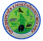 tribal school logo