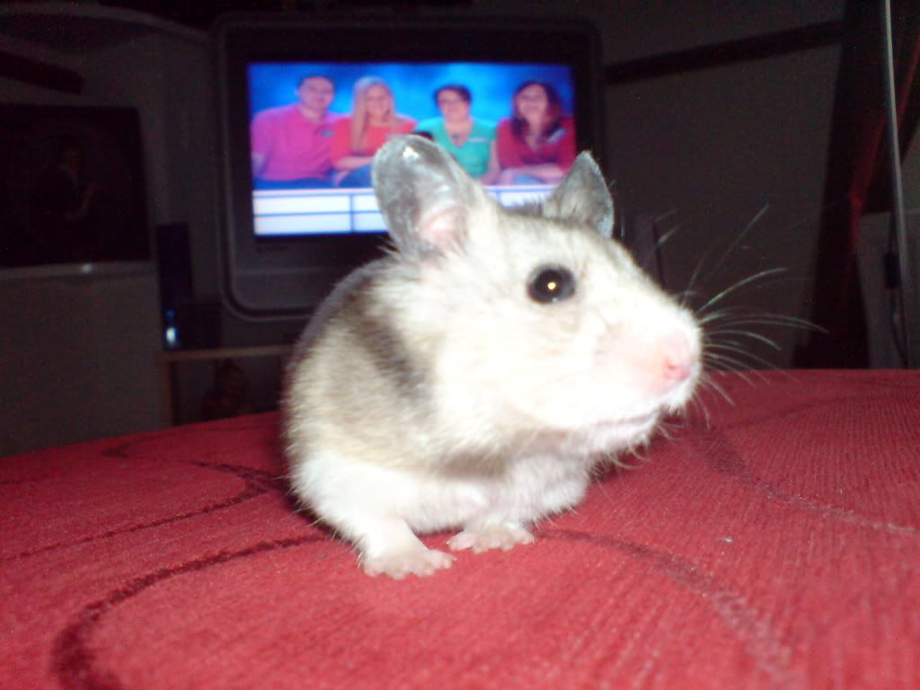 DSC00113.jpg
