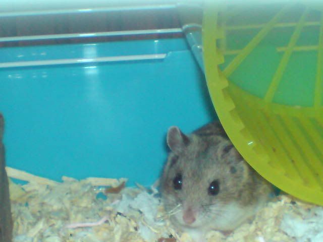 DSC00216.jpg