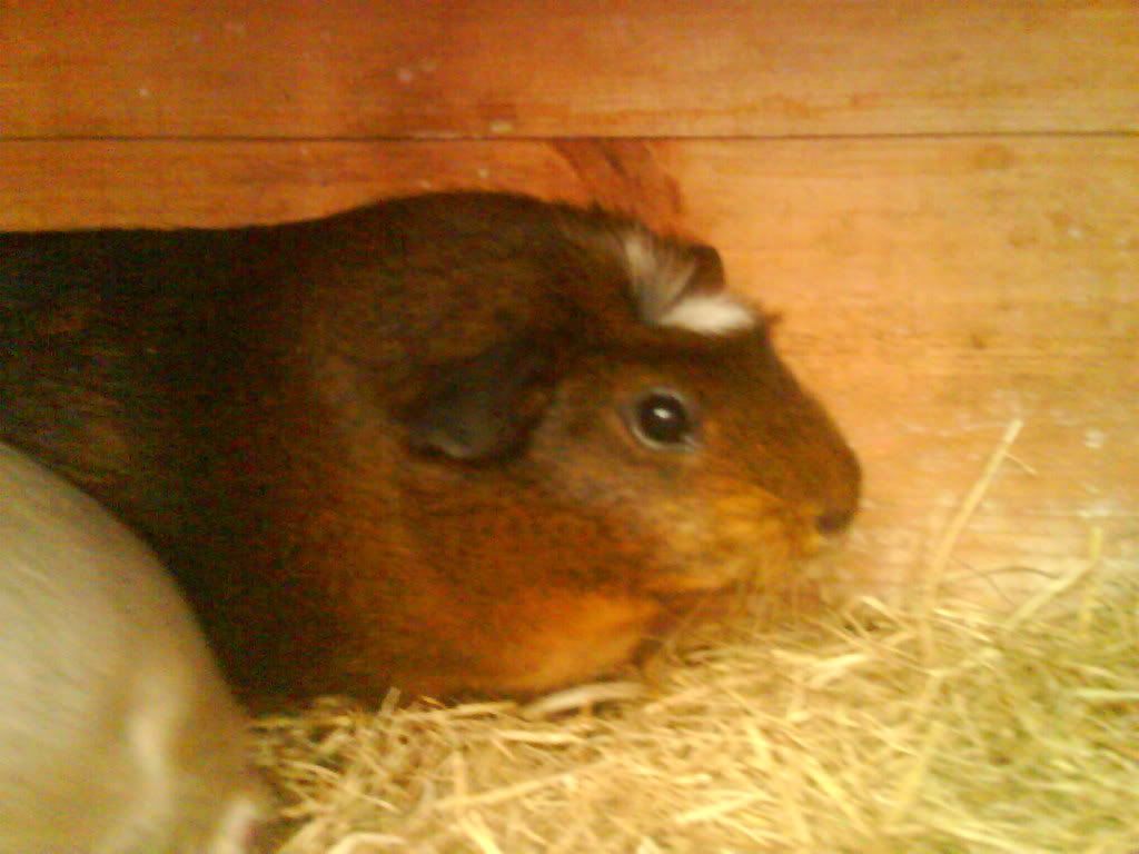 DSC00389.jpg