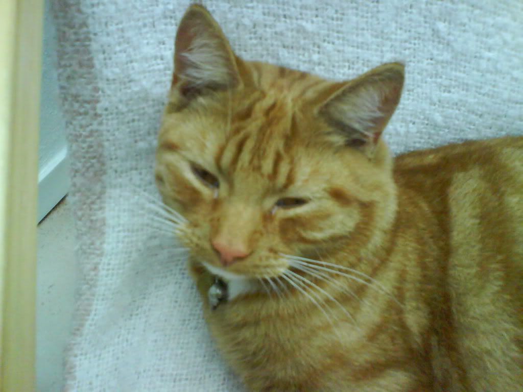 DSC00674.jpg