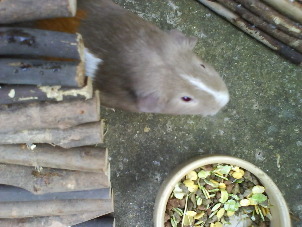DSC00783.jpg