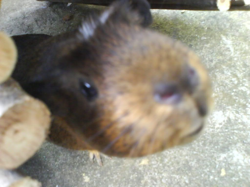 DSC00785.jpg