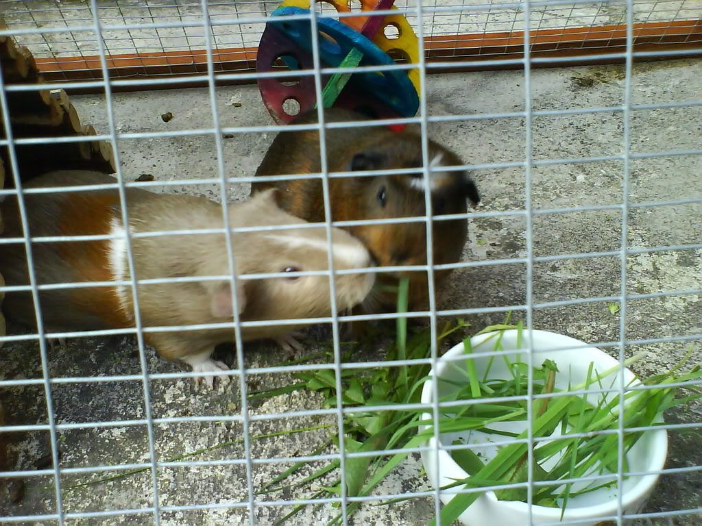 DSC00821.jpg