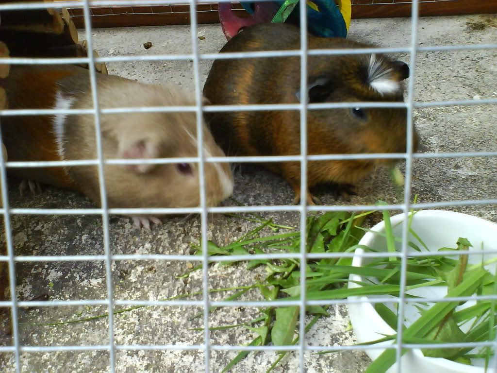 DSC00822.jpg