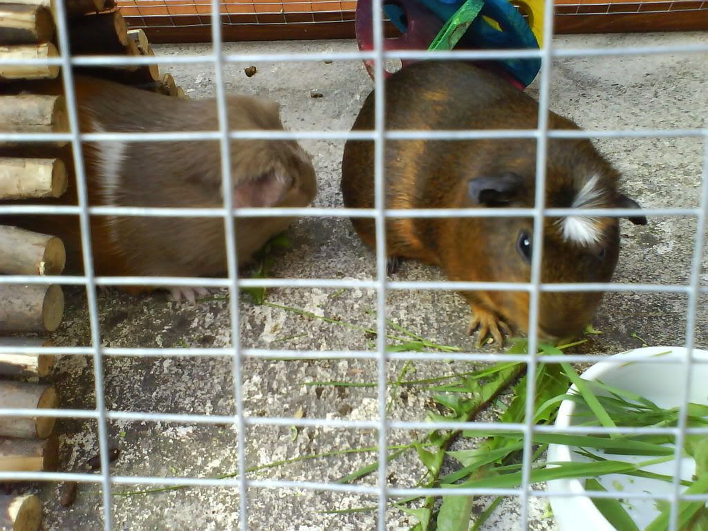 DSC00823.jpg