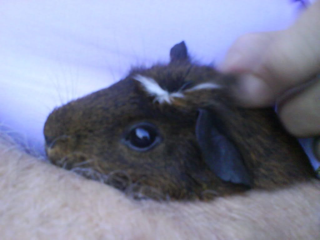 DSC00921.jpg