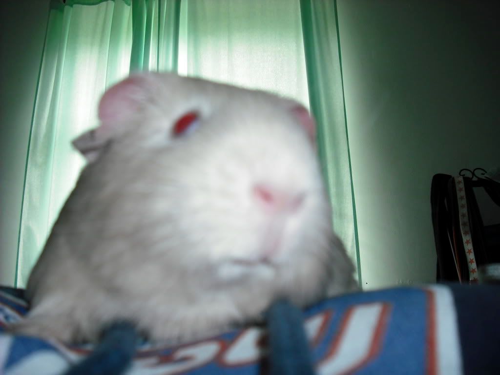 DSCF0007-1.jpg