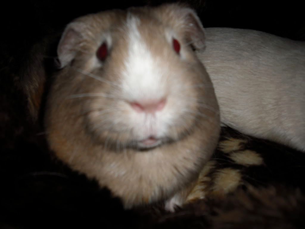 DSCF0009-2.jpg