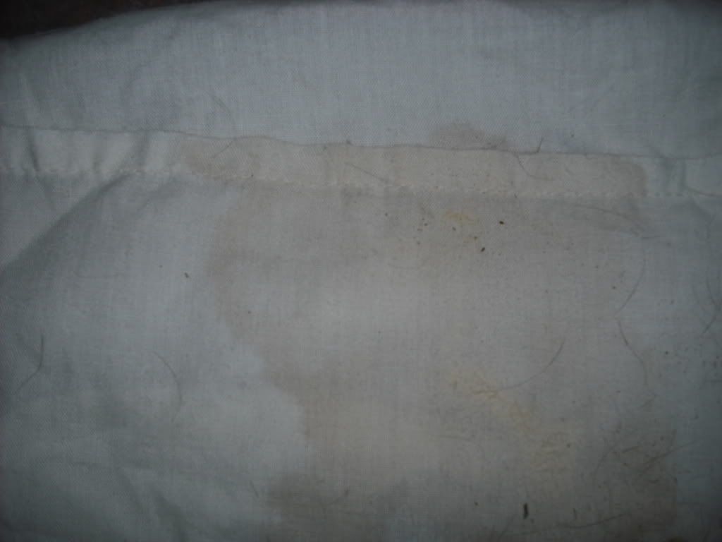 DSCF0027-1.jpg