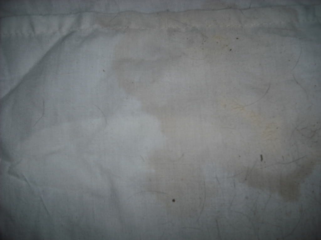 DSCF0028.jpg