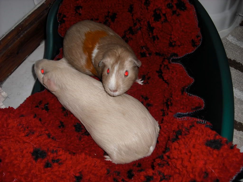 DSCF0123.jpg