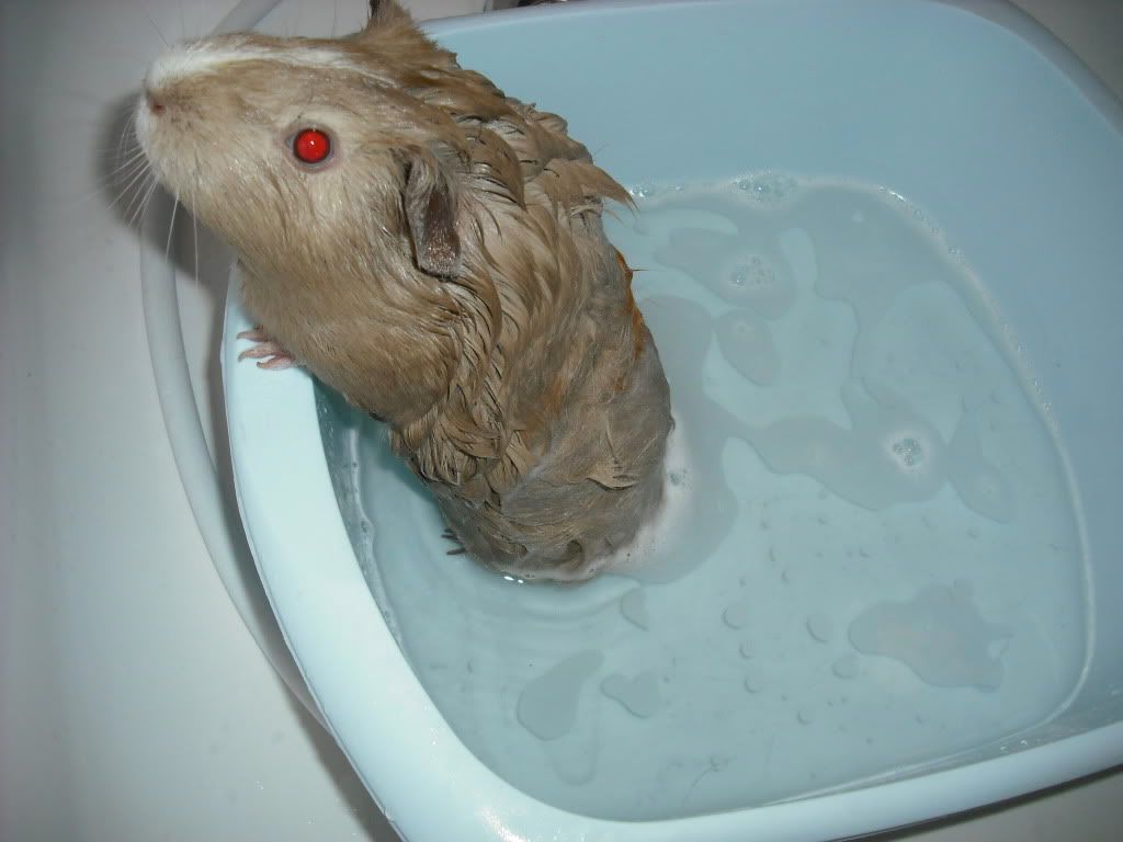 DSCF0129.jpg