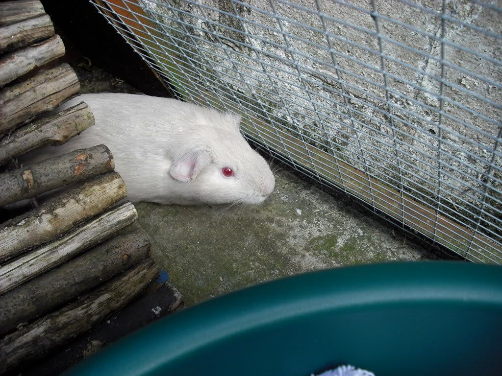 DSCF0143.jpg