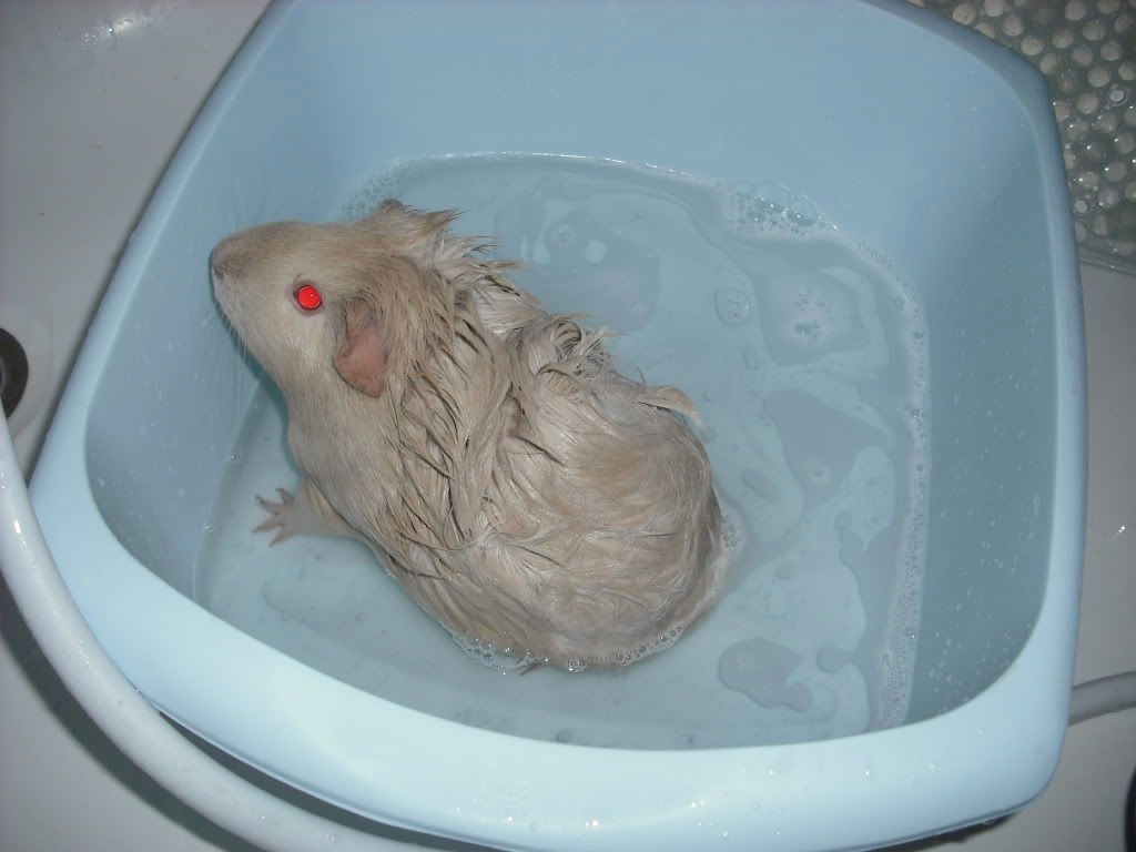 DSCF0144.jpg