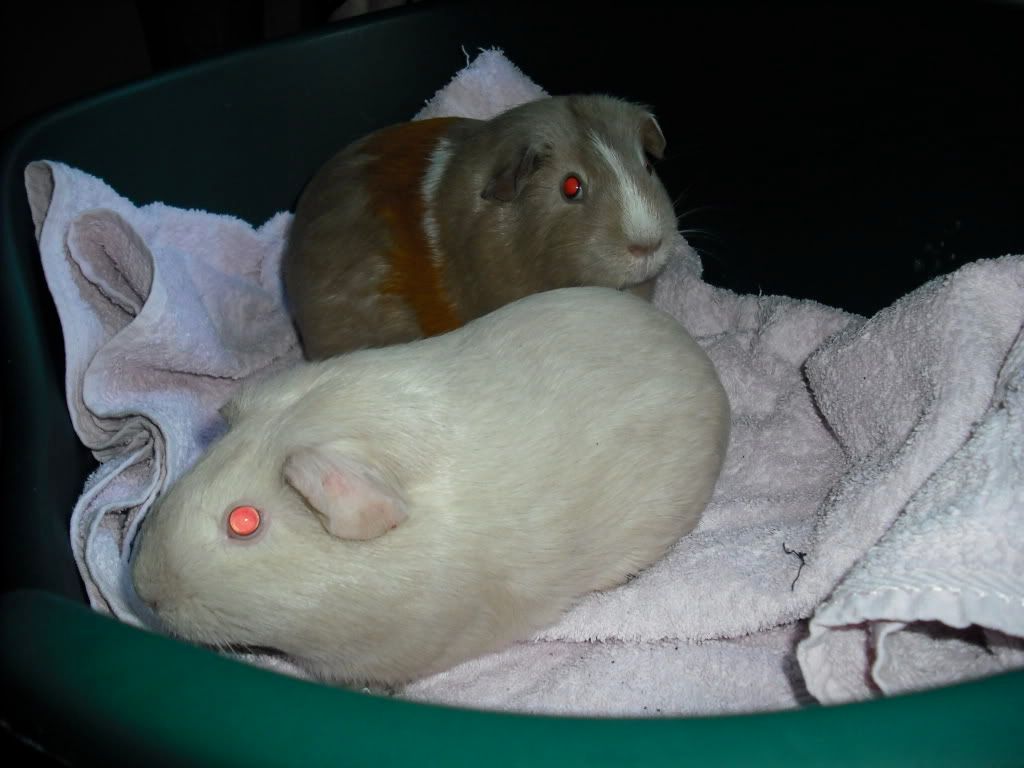 DSCF0150.jpg