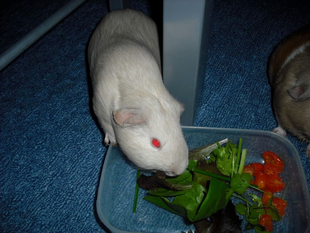 DSCF0820.jpg
