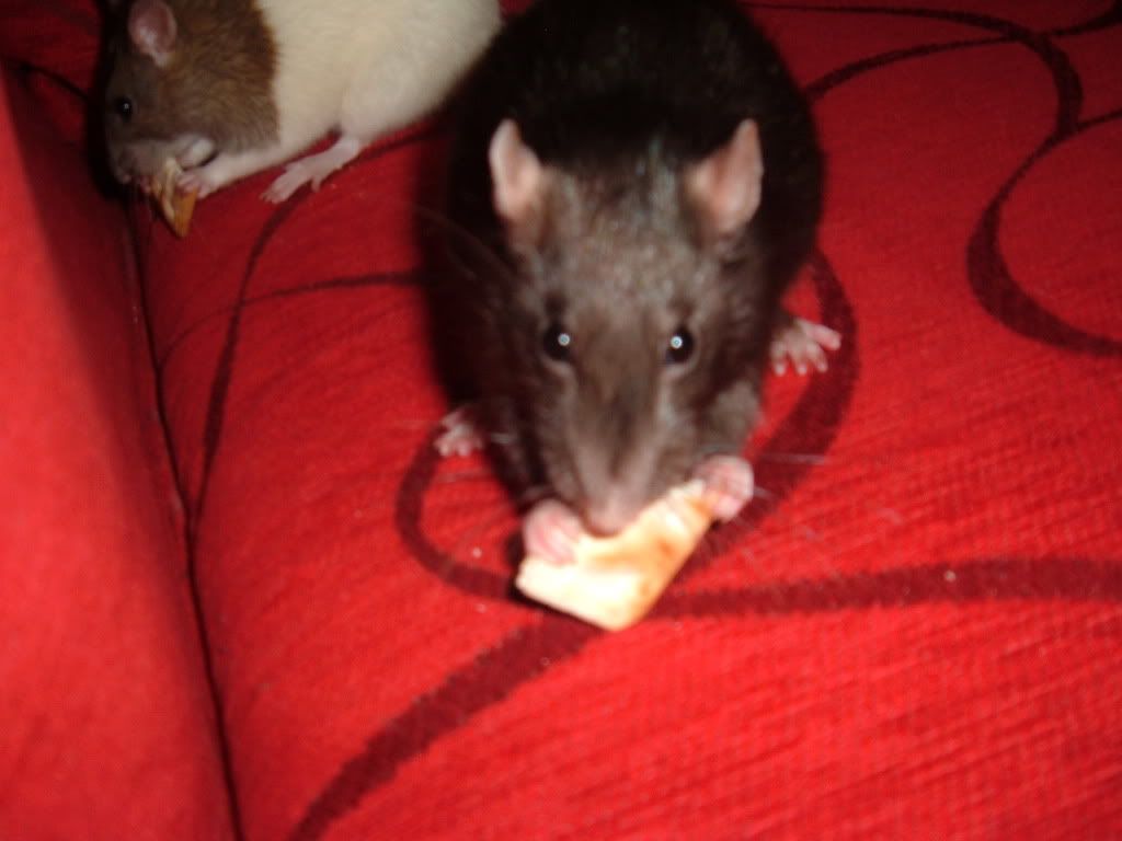 DSCF0822.jpg