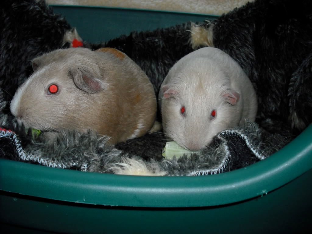 DSCF0872.jpg