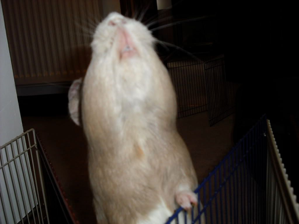 DSCF0881.jpg