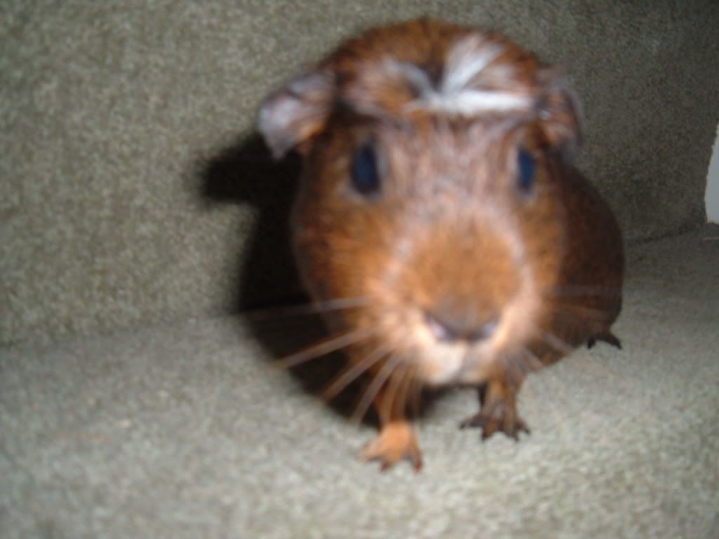DSCF1373.jpg