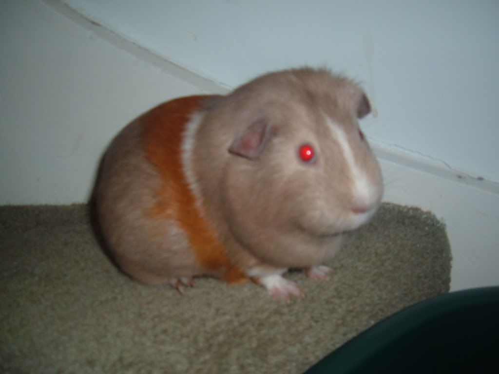 DSCF1374.jpg