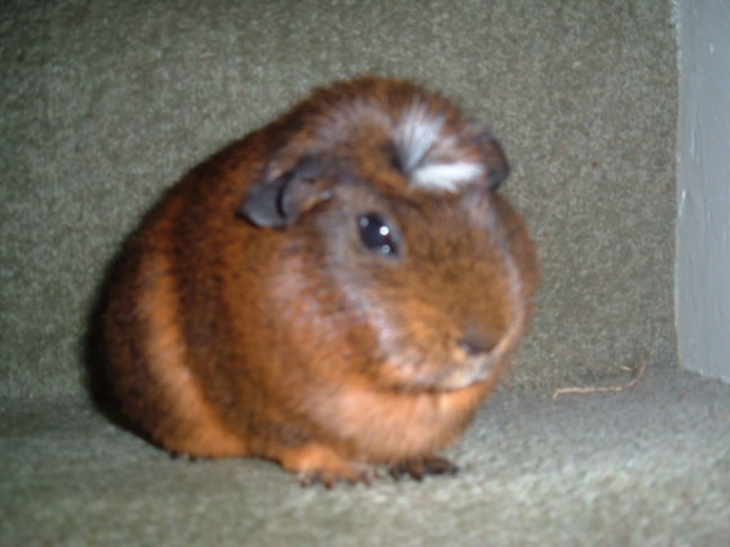 DSCF1402.jpg