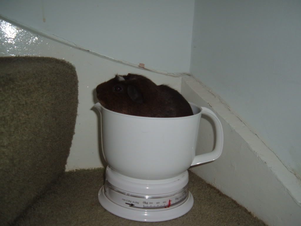 DSCF1409.jpg