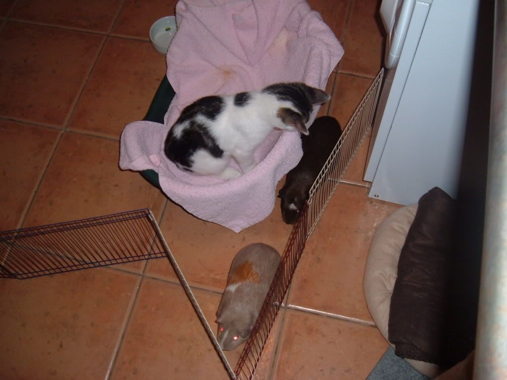 DSCF1411.jpg