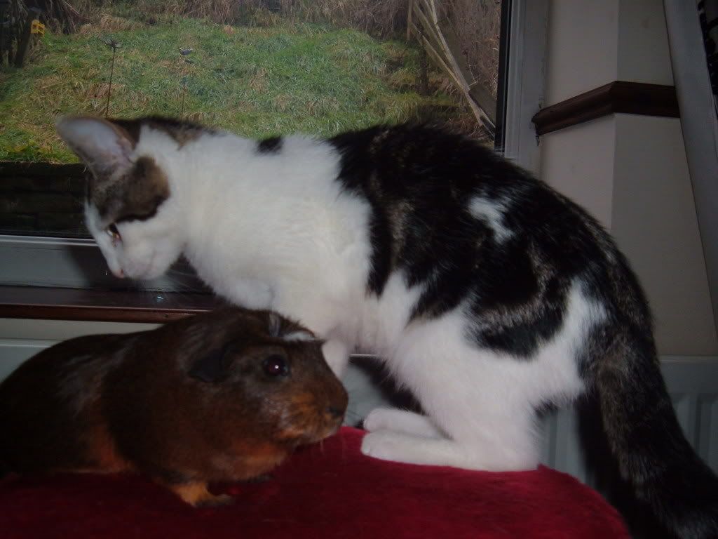 DSCF1469.jpg