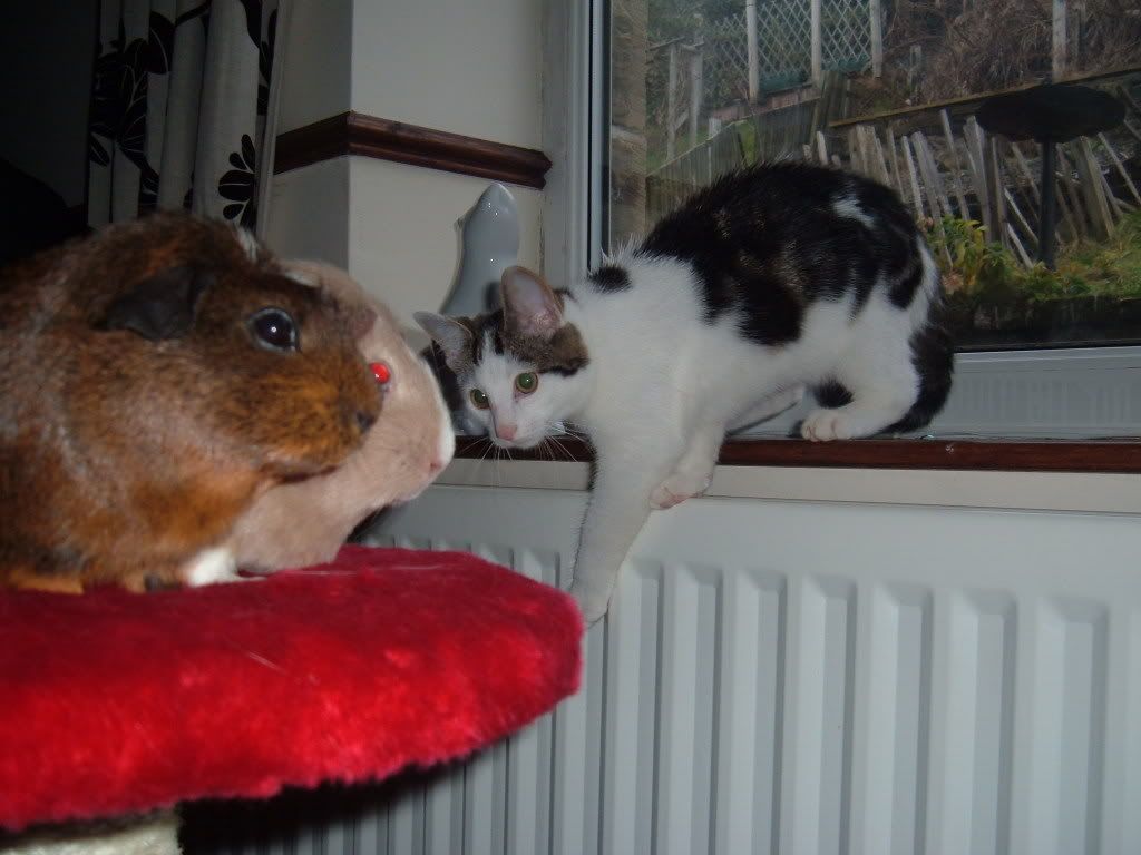 DSCF1474.jpg