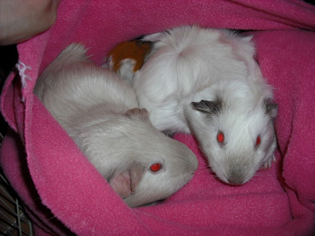 DSCF1486.jpg
