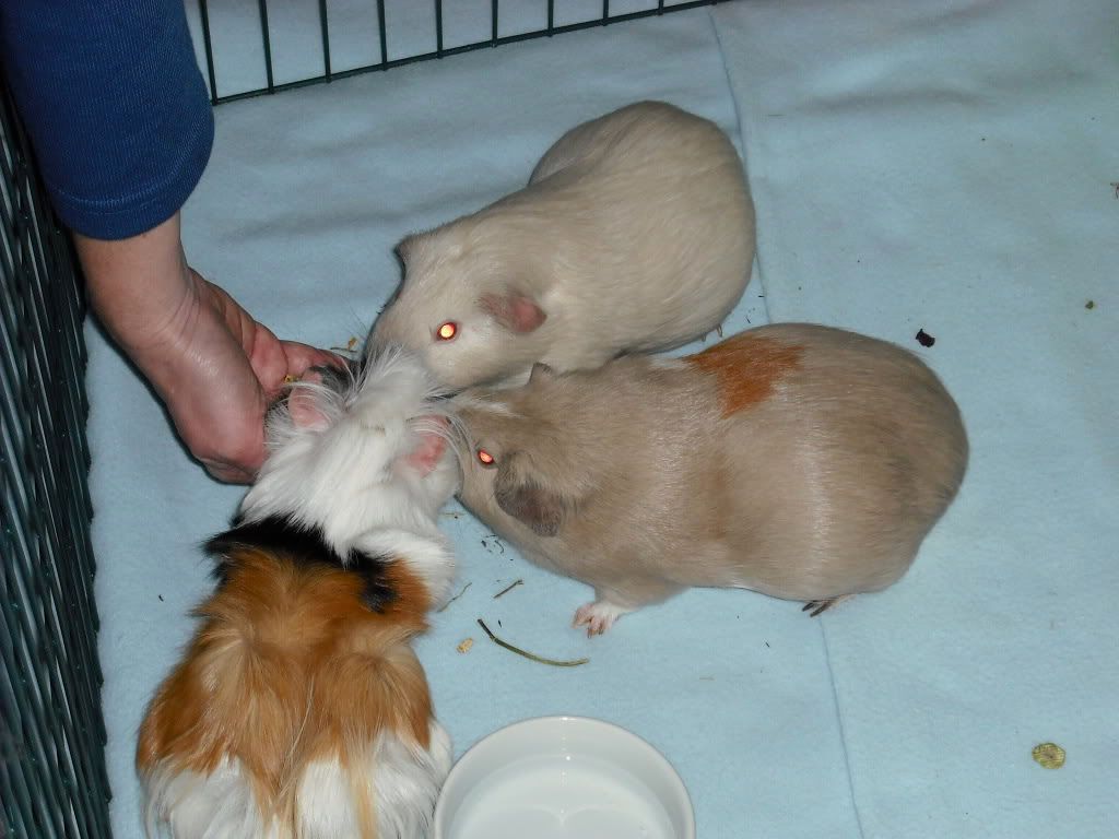 DSCF2317.jpg