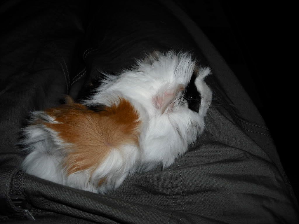 DSCF1453.jpg