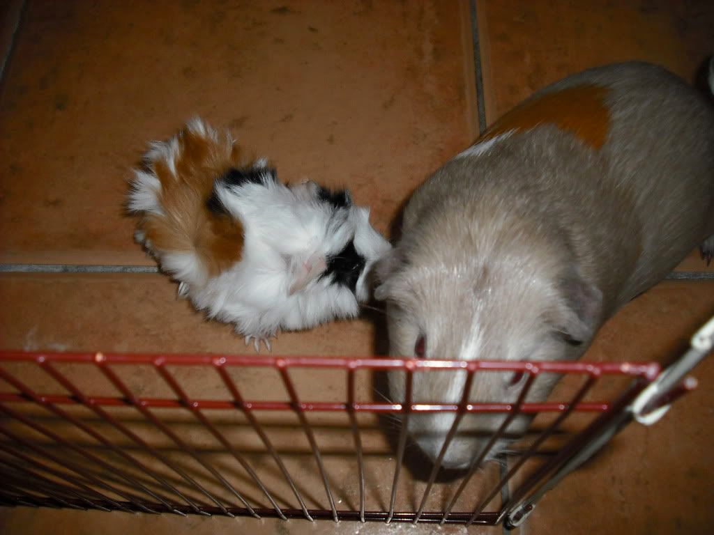 DSCF1463.jpg