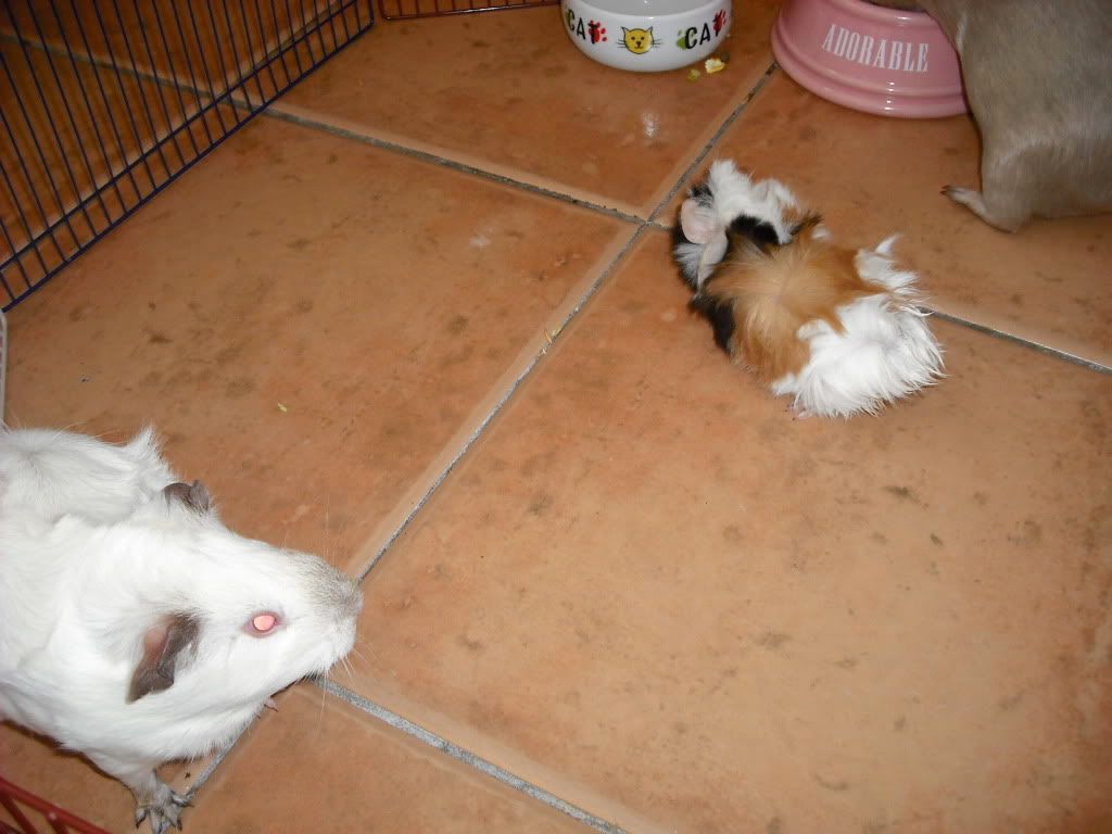 DSCF1467.jpg